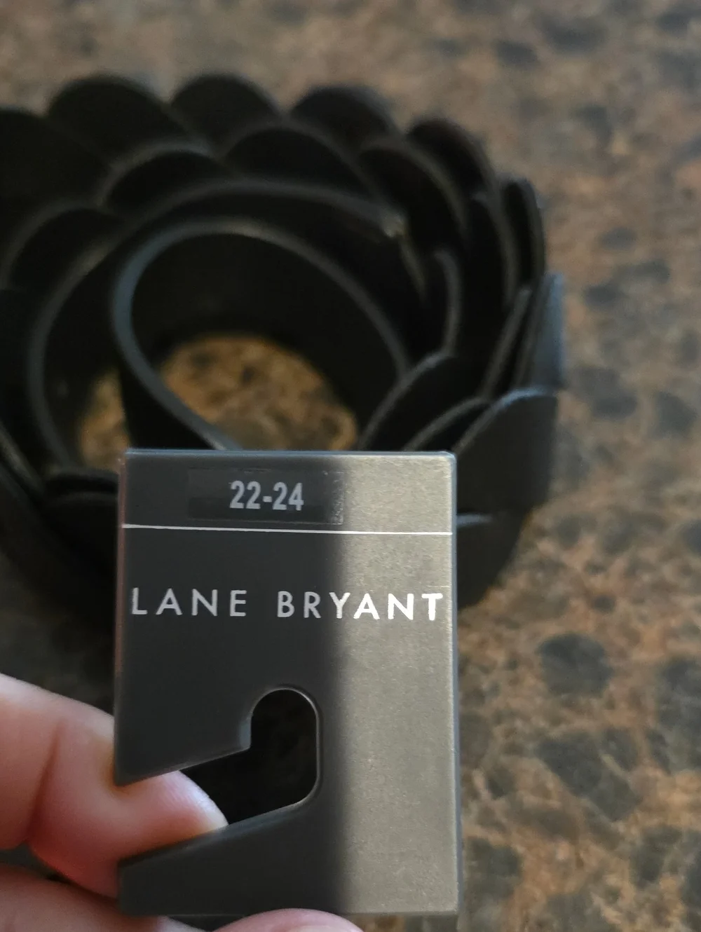 Lane Bryant Black Belt